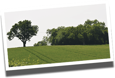 The site of Lewis&rsquo;s Farm Shop in Wrexham